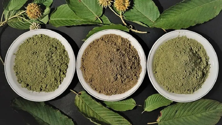 druhy kratomu